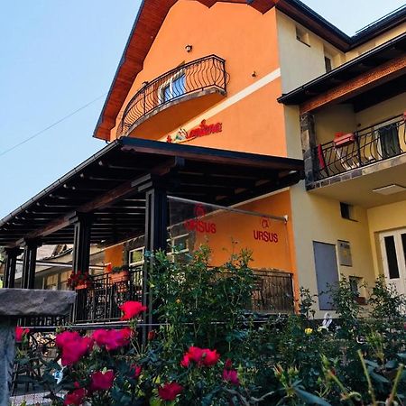 Pensiunea Montana Borsa Mm Băile Borşa エクステリア 写真