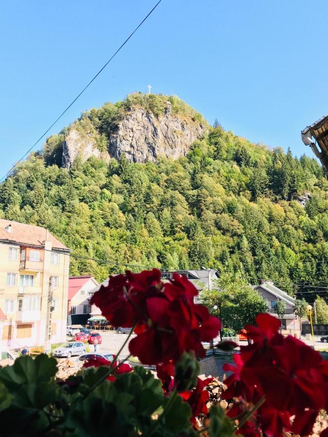 Pensiunea Montana Borsa Mm Băile Borşa エクステリア 写真