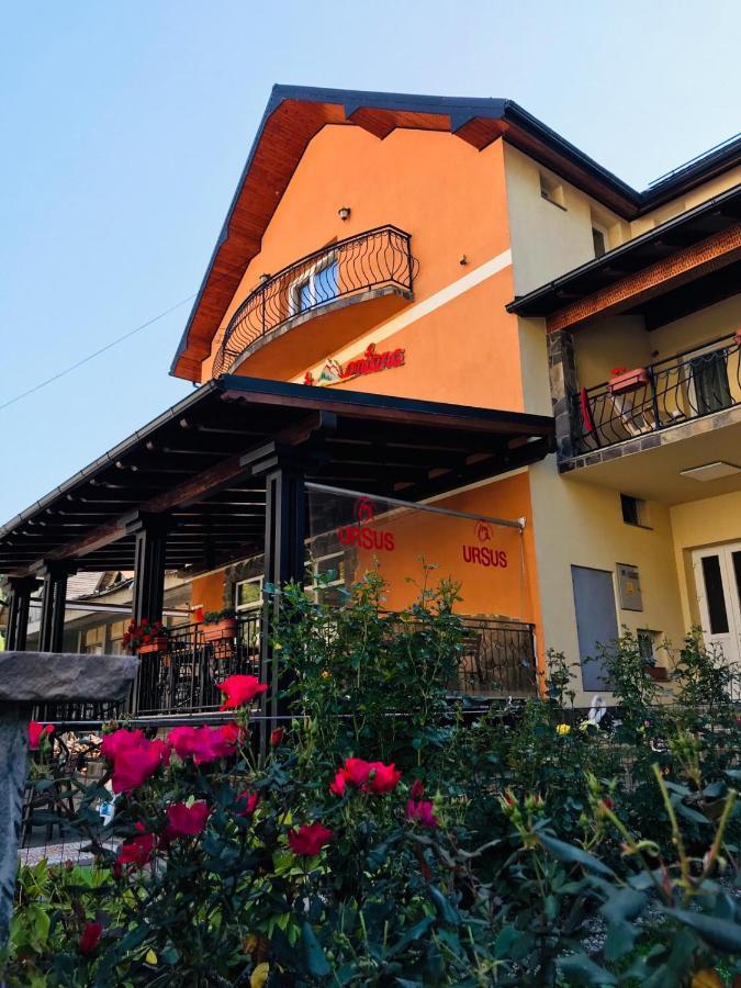 Pensiunea Montana Borsa Mm Băile Borşa エクステリア 写真
